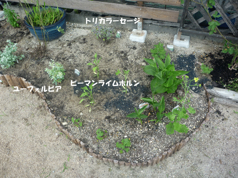 記録しとかなきゃ~