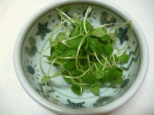 ゴマの間引き菜