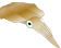 aoriika