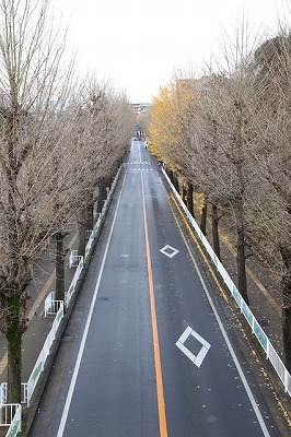 nara2013-.3