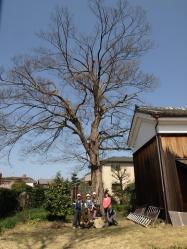 120412muku2.jpg