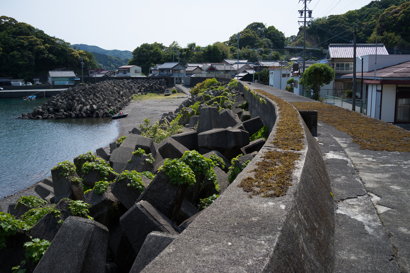 DSC00594-2.jpg