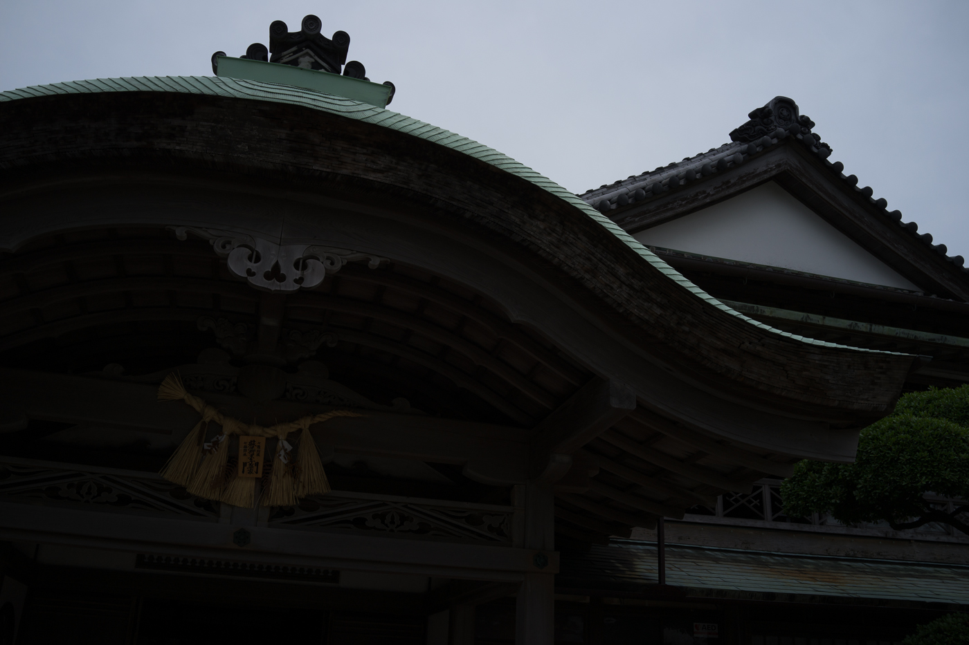 DSC03897.jpg