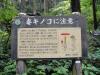 毒キノコ注意