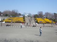 CIMG0155.jpg