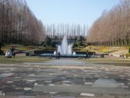 CIMG0189.jpg
