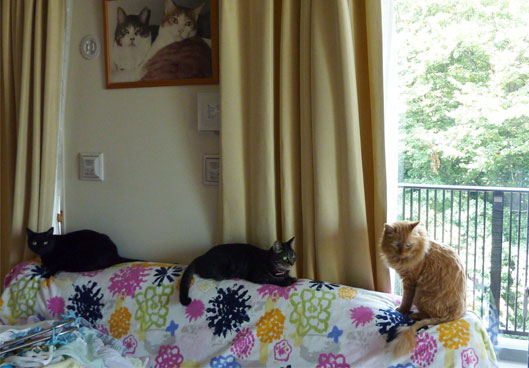 08074_20110831173938.jpg