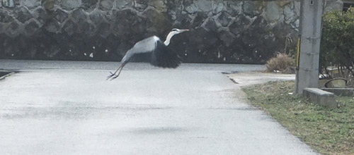 DSCF6723.jpg