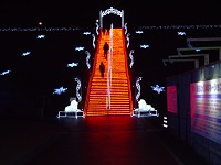 DSC00382.jpg