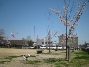 IMG_2494.jpg