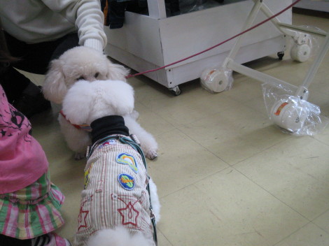 IMG_2803_20120501171049.jpg