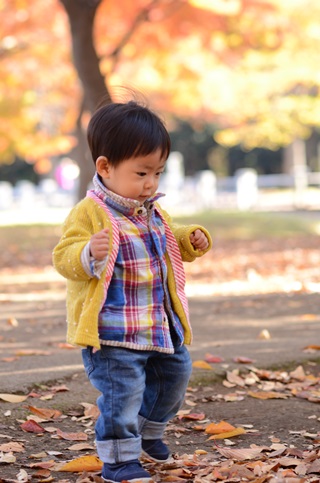 20131120-10.jpg