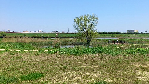 20120505_CR_006.jpg