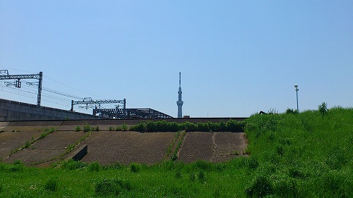 20120505_CR_013.jpg
