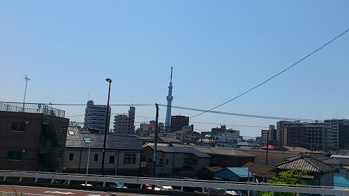 20120505_CR_014.jpg