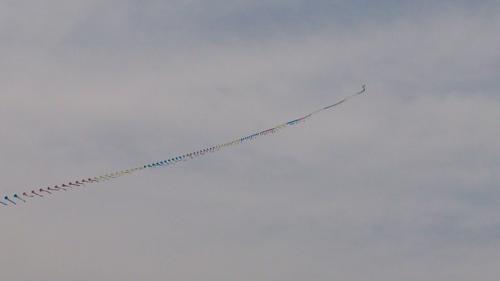 20120429_荒川サイクリングロード_002