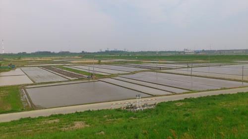 20120429_荒川サイクリングロード_016
