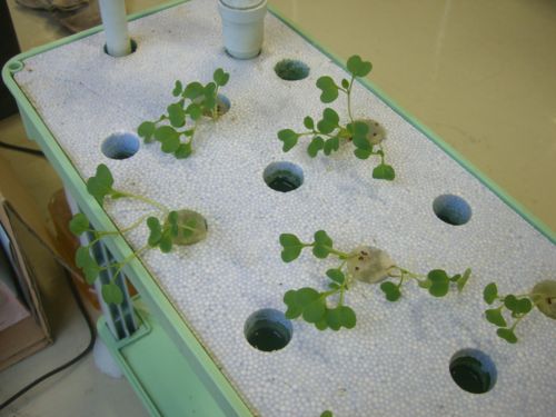 gekikan-007.jpg