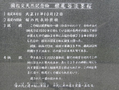 104_convert_20140929082542.jpg