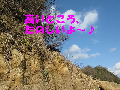 IMG_5138 - コピー