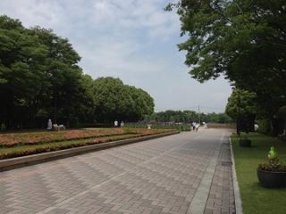 201305301２