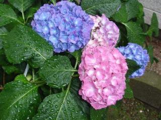20130528