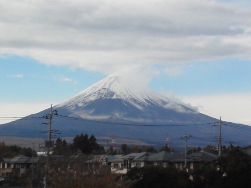 DSC_1324.jpg