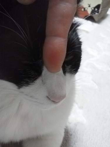 DSC_1344.jpg