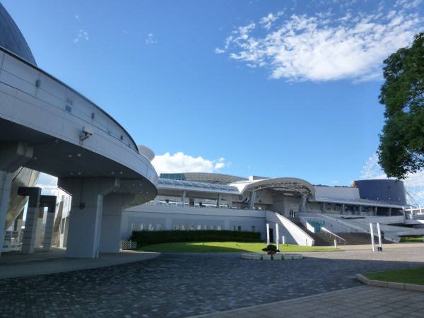 P1050969.jpg