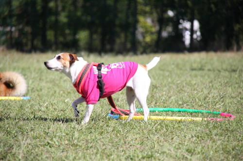 DPP_10_201312102310346b8.jpg