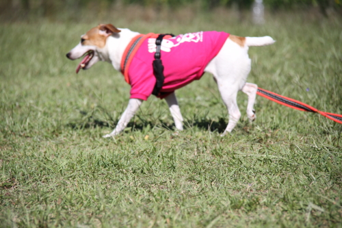 DPP_12_2013121023113933d.jpg