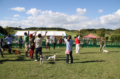 DPP_14_201312102311423ab.jpg