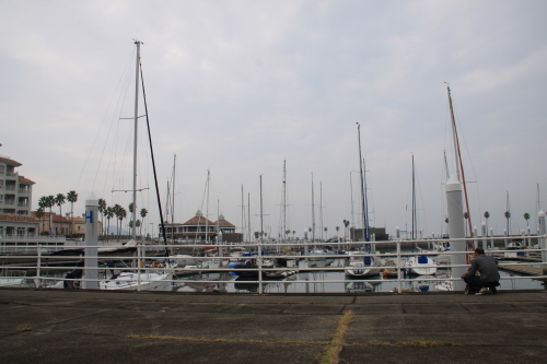 DPP_16_20131218232543e68.jpg
