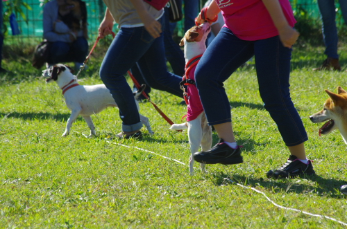 DPP_18_20131210231209e9f.jpg