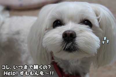 そんなこんなで、お疲れです~