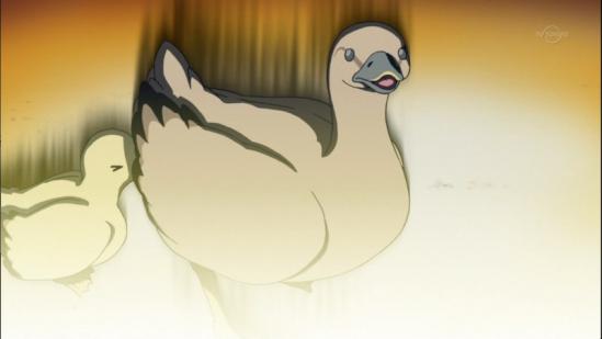 bluuuuuuunoooooooooooooooooo.jpg