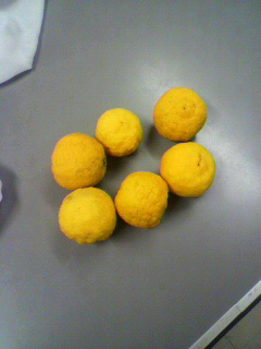 P1001027.jpg