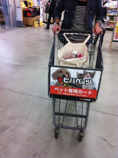 IMG_1329_convert_20120418190847.jpg