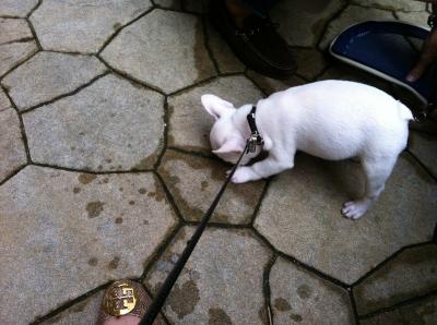 IMG_1825_convert_20120502211701.jpg