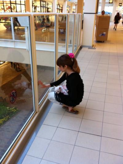 IMG_1888_convert_20120502210807.jpg