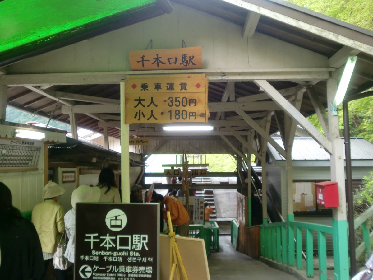 yoshino2.jpg
