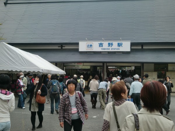 yoshino6.jpg