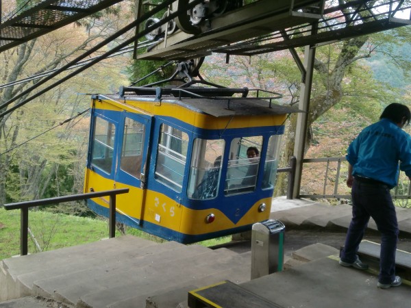 yoshino7.jpg