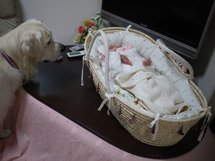 P1350039.jpg