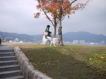 P1350119.jpg