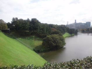 20111108.jpg