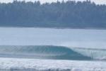 IMGP0108.jpg