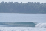 IMGP0110.jpg