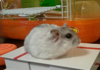 2011-11-15_12_10_23.jpg