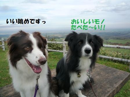 P1050859.jpg